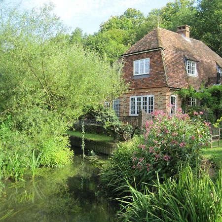 Tilford Mill Cottage Farnham  Zewnętrze zdjęcie