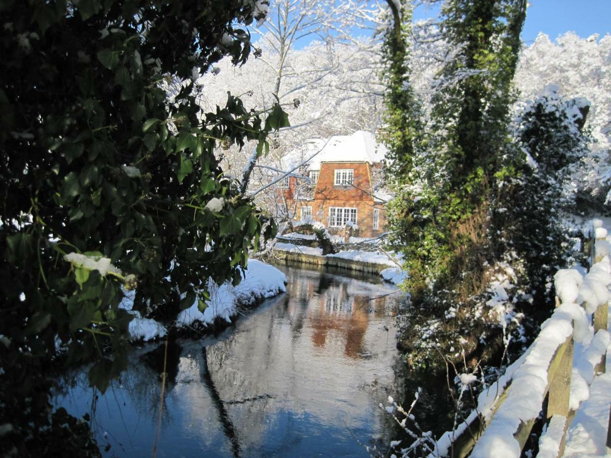 Tilford Mill Cottage Farnham  Zewnętrze zdjęcie